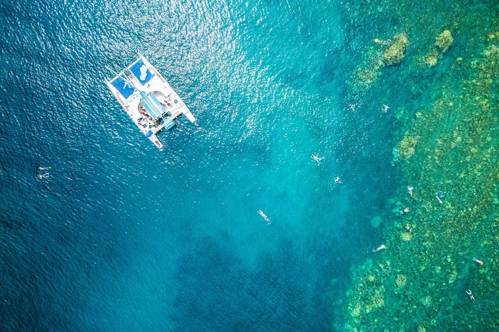 West Maui Half Day Snorkel from Ka’anapali Beach - Photo 1 of 13